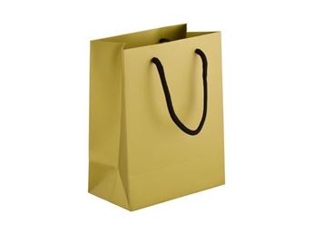 230gsm Matte Gift Bag - 23cm, BAG091C-23