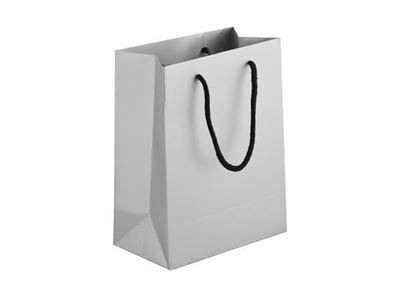 230gsm Matte Gift Bag - 23cm, BAG091S-23