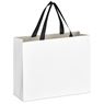 Altitude Galleria Midi Paper Gift Bag, BG-AL-543-B