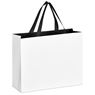 Altitude Galleria Midi Paper Gift Bag, BG-AL-543-B