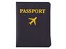 Passport Wallet, P2637