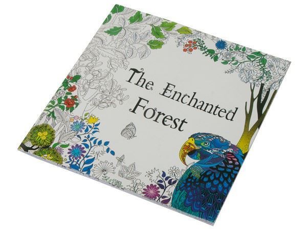 Adult Colouring Book, ST323