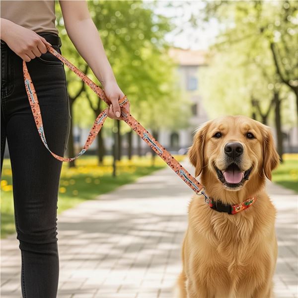 Hoppla Buddy Polyester Dog Leash, PM-HP-2-G