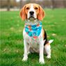 Hoppla Tyson Small Polyester Dog Bandana, PM-HP-7-G