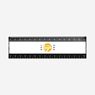 15Cm Jumbo Ruler, 514