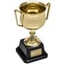 Altitude Aureus Medium Trophy, GP-AL-139-B