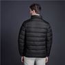 Mens Alex Varga Monaco Jacket,  JC-AV-152-A