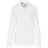 Ladies Long Sleeve Alex Varga Cronus Knitted Shirt, CW-AV-209-A