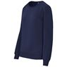 Ladies Quinn Crew Neck Sweater, FS-UB-41-A