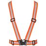 Hi-Viz Reflective Safety Belt, BV-AL-5-F