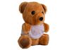 Teddy Plush Toy, P2528