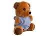 Teddy Plush Toy, P2528