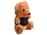 Teddy Plush Toy, P2528
