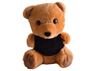 Teddy Plush Toy, P2528
