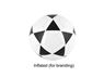 Mini Kick Size 2 Soccer Ball - Inflated, P2740-Inflated