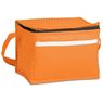 Altitude Brighton Non-Woven 6-Can Cooler, COOL-5340
