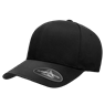 Delta Fitted Cap, DELTA-B