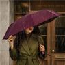 Serendipio Milestone Auto-Open Compact Umbrella, UM-SD-33-B