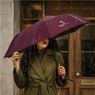 Serendipio Milestone Auto-Open Compact Umbrella, UM-SD-33-B