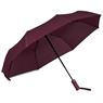 Serendipio Milestone Auto-Open Compact Umbrella, UM-SD-33-B